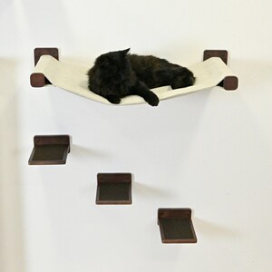 May include: A black cat rests on a cream-colored cat hammock mounted on a white wall. Below the hammock are three small, square cat shelves with dark brown frames and dark brown surfaces. The cat furniture is designed for climbing and lounging.