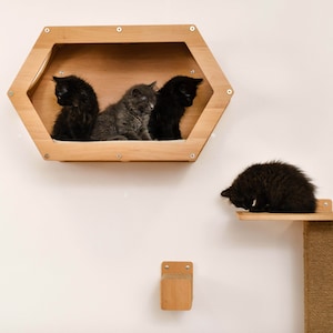 Wall Mounted Hexagon Cat Shelf, Cat Wall Furniture, Modern Cat Furniture, Large Cat Bed, Wall Furniture Set, Cat Shelves for Wall, Cat Steps