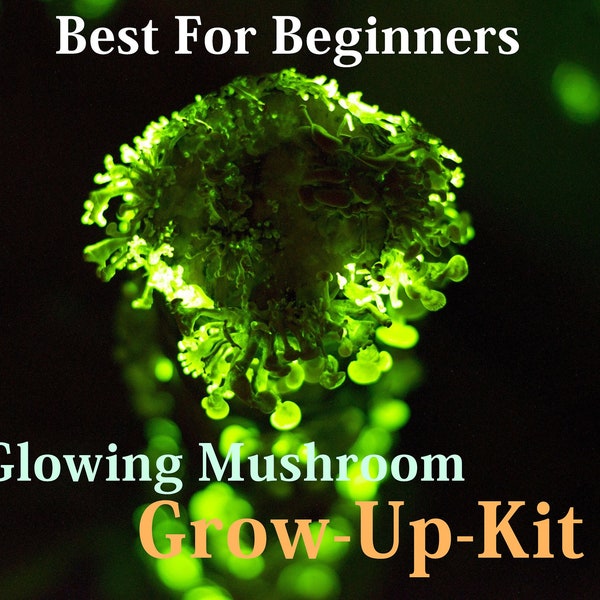 Glowing Mushroom Luminescence Panellus stipticus "Ready to use Grow-Up Kit" Luminescent Mushroom