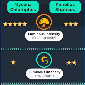 May include: A comparison chart of two types of bioluminescent mushrooms, Mycena Chlorophos and Panellus Stipticus. The chart shows the luminous intensity of the fruiting body and mycelium, as well as the duration of the bioluminescence.