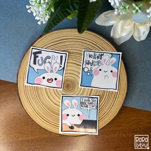 Set di adesivi Latte the Bunny, adesivi di animali carini, adesivi meme, adesivi kawaii, regalo carino per posta felice, quaderno, laptop
