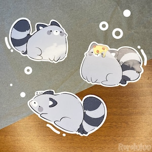 Adesivo procione pizza, adesivo procione carino, adesivo meme, adesivo kawaii, regalo carino per posta felice, quaderno, laptop