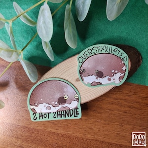 Overgestimuleerde regenachtige kikker sticker ser, schattige chibi sticker, meme sticker, kawaii sticker, leuk cadeau voor Happy Mail, notebook, laptop