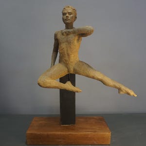 Leap image 1