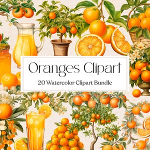 20 Watercolor Oranges Clipart, Fruit Clipart, Oranges Basket Png, Junk Journal, Scrapbooking, Instant Donwload, Commercial Use