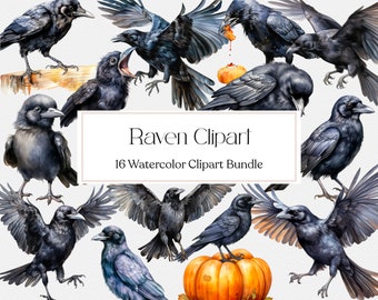 16 Clipart corbeau aquarelle, clipart corbeau, oiseau Png, corbeau sorcière, album de scrapbooking, journal indésirable, téléchargement immédiat, usage Commercial