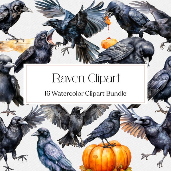 16 Watercolor Raven Clipart , Crow Clipart, Bird Png, Witch Crow, Scrapbook, Junk Journal, Instant Download, Commercial Use