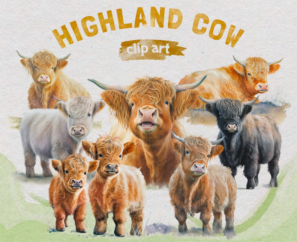 20 Highland Cow Clipart, Cow Watercolor Png, Nursery Art, Animal Farm ...