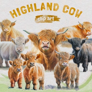 20 Highland Cow Clipart, Cow Watercolor Png, Nursery Art, Animal Farm, Instant Download, Commercial Use