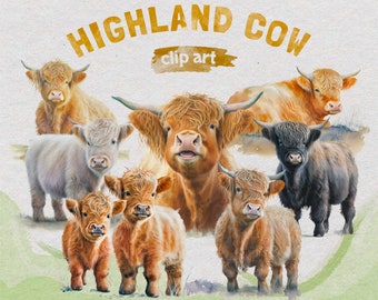 May include: Watercolor illustration of several Highland cows in various shades of brown, white, and black. The image includes the text "HIGHLAND COW clip art" in a handwritten style font. The cows have long, shaggy fur and horns.