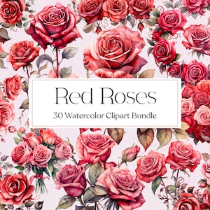 Puede incluir: Una ilustración digital de 30 rosas rojas de acuarela, perfectas para proyectos de artesanía y diseño. Las rosas están dispuestas en una variedad de poses y tamaños, algunas en plena floración y otras en capullo. La ilustración está sobre un fondo blanco. Rosas rojas 30 clipart de acuarela