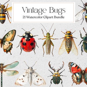 Clipart insetti vintage, PNG insetti antichi ad acquerello, diario spazzatura, scrapbooking, download immediato