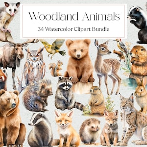 Animais da floresta Clipart, Aquarela Floresta Bebê Animal, Aquarela Veado Raposa Guaxinim Gambá, Berçário, Convite, Download instantâneo