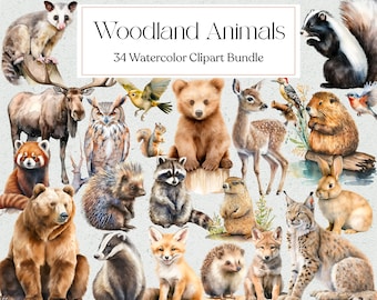 May include: A watercolor clipart bundle featuring 34 woodland animals, including a red panda, a raccoon, a fox, a bear, a deer, a squirrel, a badger, a hedgehog, a lynx, a rabbit, a porcupine, a moose, an owl, a skunk, a beaver, a woodpecker, a bird, and a possum. The animals are painted in a realistic style with soft, muted colors.