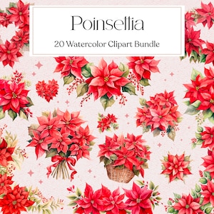 Poinsettia Clipart, Christmas Flower Clipart, Winter, Floral, Red Flower, Invitation, Instant Download