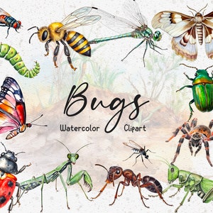 16 cliparts aquarelle insectes, insecte aquarelle, clipart Nature, papillon, scarabée, coccinelle, abeille, sauvage, téléchargement immédiat, usage Commercial