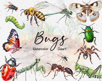 16 Watercolor Bugs Clipart, Watercolor insect, Nature Clipart, Butterfly, Beetle, Ladybug, Bee, Wild, Instant Download, Commercial Use