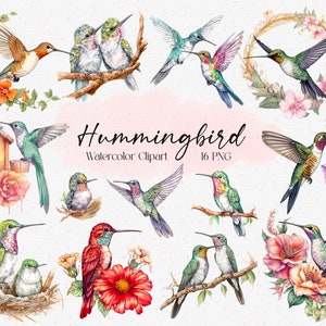 16 Clipart de colibris em aquarela, floral de colibri, clipart de pássaro, clipart de chá de bebê, download instantâneo, uso comercial