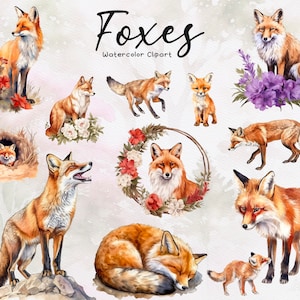 30 cliparts aquarelle renard, clipart animaux de la forêt, renard roux, renards floraux, téléchargement immédiat, usage Commercial