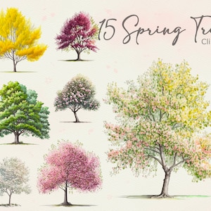 15 Frühling Baum Clipart, Frühling Dekor, Kirschblüte, Hochzeitseinladung, Sofort Download