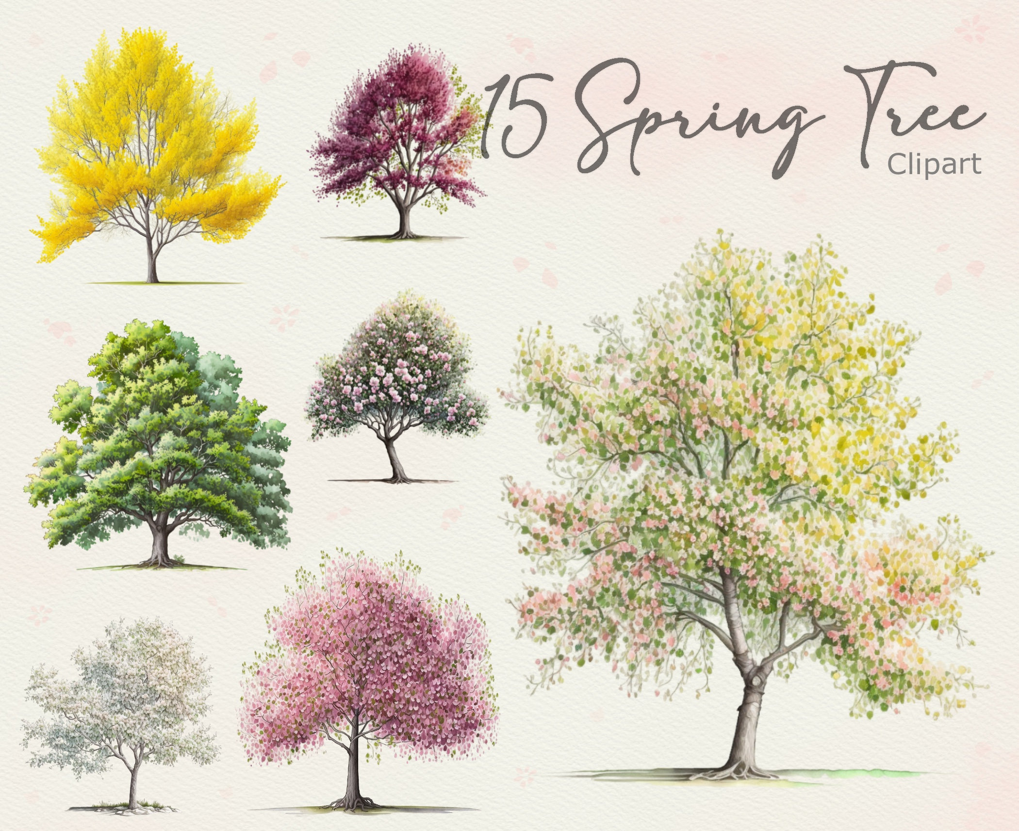 Spring Tree Clipart Images