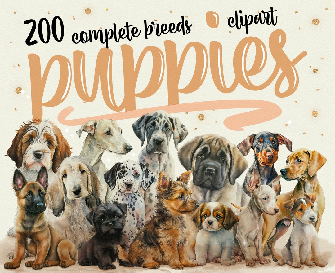 200 Watercolor Puppies Clipart dog PNG Bundle Dog Clipart - Etsy UK