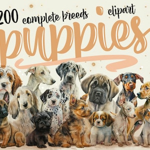200 cliparts chiots aquarelles, chien PNG Bundle, clipart chien, images aquarelles, téléchargement immédiat et utilisation commerciale