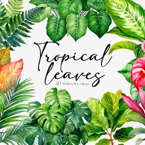20 Tropical Leaves Watercolor Clipart, Tropical Leaf, Greenery Clipart, Monstera Clipart, Instant Download, Commercial Use