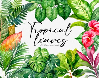 20 Tropical Leaves Watercolor Clipart, Tropical Leaf, Greenery Clipart, Monstera Clipart, Instant Download, Commercial Use