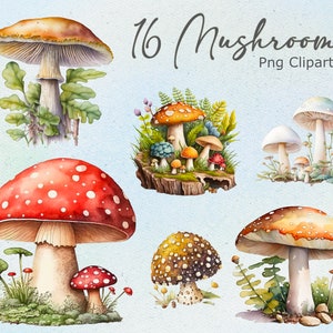 16 paddestoelen clipart, vintage botanische kunst, bospaddestoelen png, paddestoel, instant download, commercieel gebruik