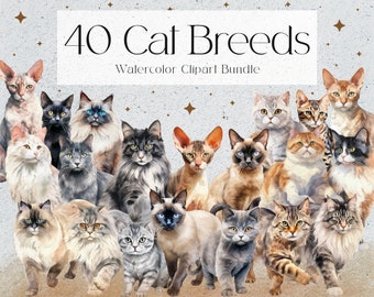 40 Cat Breeds Watercolor Clipart, Cat Lovers Gift, Kitten Clipart, Pet Clipart, Instant Download, Commercial Use