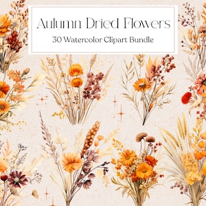 30 Clipart di fiori secchi autunnali, Clipart di piante secche autunnali ad acquerello, Clipart floreali, Clipart autunnali, Download immediato