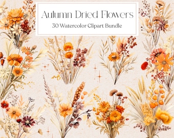 30 hösttorkade blommor Clipart, akvarell hösttorkade växter Clipart, blommig Clipart, höst Clipart, omedelbar nedladdning