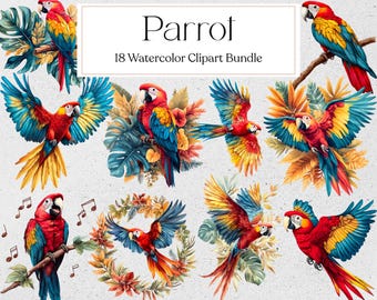 Parrot Clipart, Watercolor Tropical Birds PNG, Parrot Sticker, Instant Download