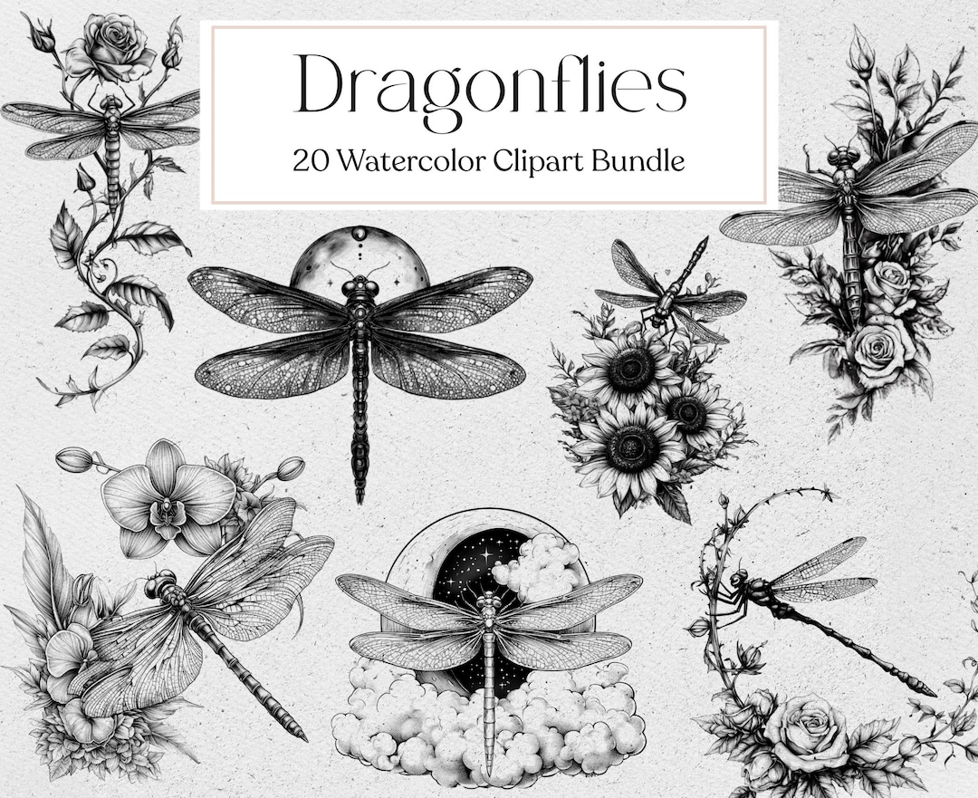 Vintage Dragonfly Clipart, Line Art Dragonflies Graphic, Junk Journal ...