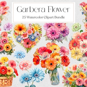 Garbera Flower Clipart, Akwarela Floral Garberas Clipart, Elementy, Użytek Komercyjny, Natychmiastowe Pobieranie