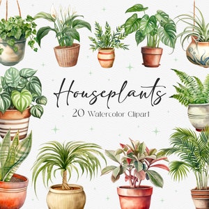 20 Plantas de interior en acuarela, Imágenes prediseñadas de vegetación, Plantas de interior PNG, Imágenes prediseñadas de suculentas, Plantas en macetas PNG, Descarga instantánea, Uso comercial