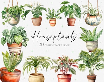 20 Watercolor Houseplants, Greenery Clipart, Home plants Png, Succulent Clipart, Potted Plants Png, Instant Download, Commercial Use
