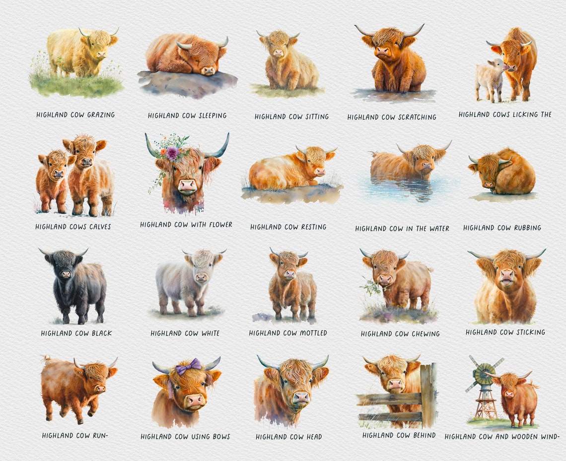 20 Highland Cow Clipart, Cow Watercolor Png, Nursery Art, Animal Farm ...