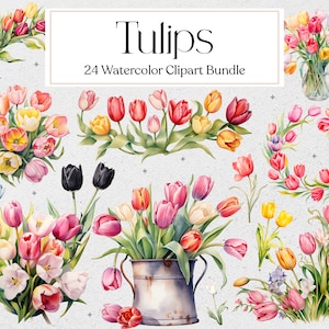 Clipart di tulipani ad acquerello, Clipart di fiori, Invito floreale, Clipart di nozze, Primavera, Uso commerciale, Download immediato