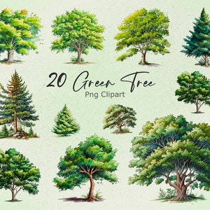 Könnte beinhalten: Ein Set mit 20 Aquarell-Illustrationen von grünen Bäumen, perfekt, um Ihren Designs einen Hauch von Natur zu verleihen. Die Bäume sind in verschiedenen Stilen und Größen, darunter Kiefern, Eichen und Ahornbäume. Die Illustrationen sind von hoher Qualität und perfekt für den Einsatz in digitalen oder Druckprojekten.