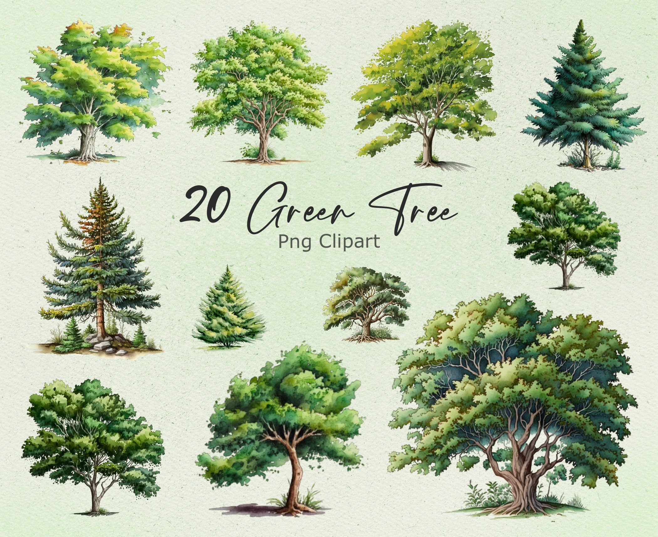 20 Green Trees Watercolor Clipart Forest Png Tree Cipart Etsy UK