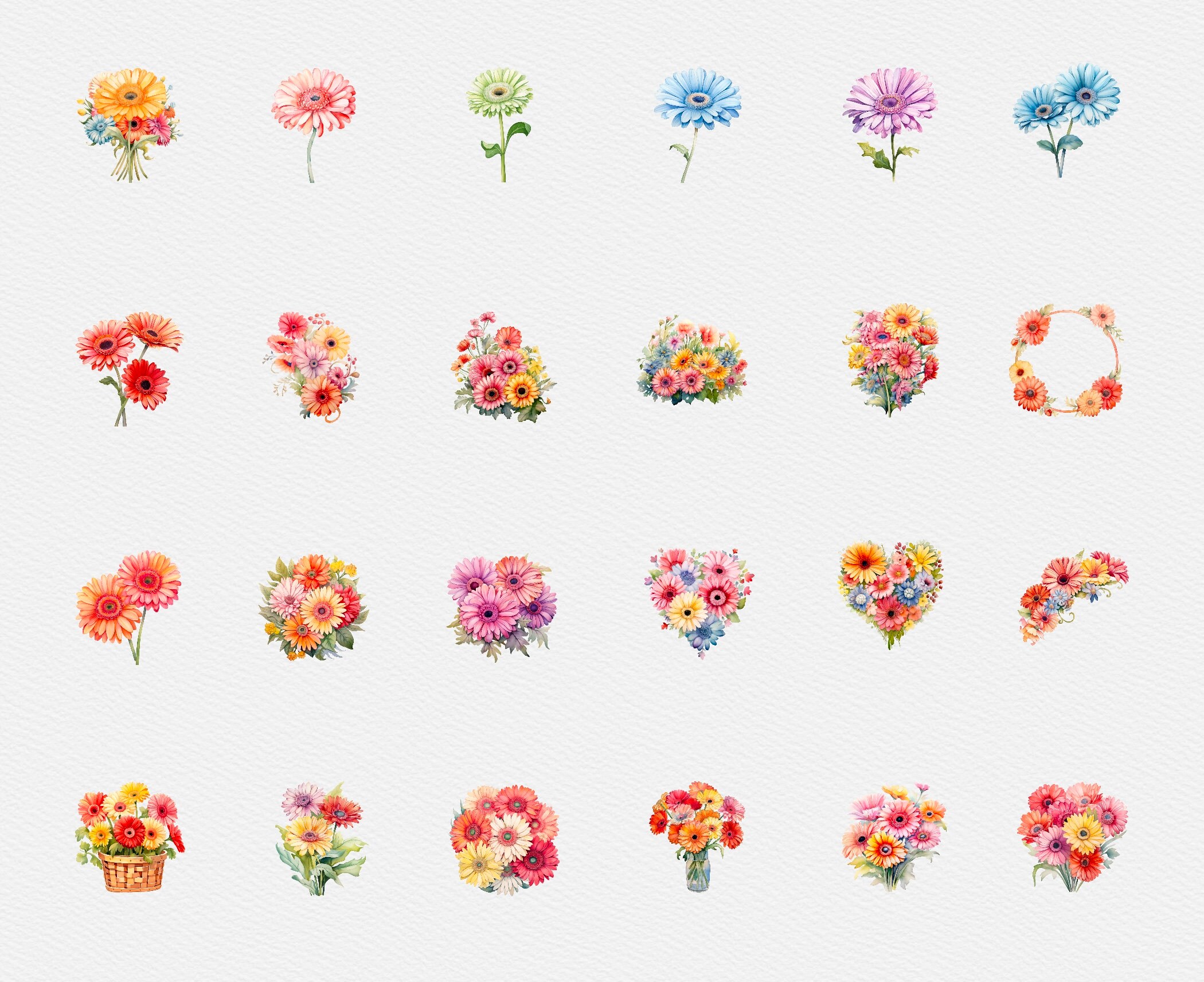 Garbera Flower Clipart, Watercolor Floral Garberas Clipart, Elements ...