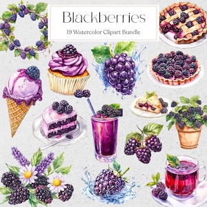 Watercolor Blackberries Clipart, Fruit PNG, Food Graphic, Instant Download