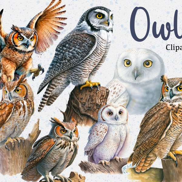 16 Owl Clipart, Watercolor Owl Clipart, Cute Owl Clipart, Bird Png, Instant Download, Commercial License