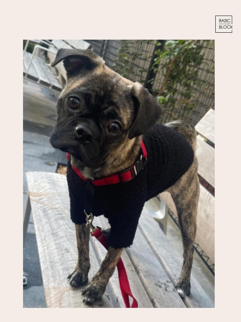 May include: A brindle pug mix dog wearing a black textured sweater and a red harness with a matching red leash. The dog has dark eyes and folded ears. The image includes a small square logo in the top right corner with the text BASIC PATTERN BLOCK.