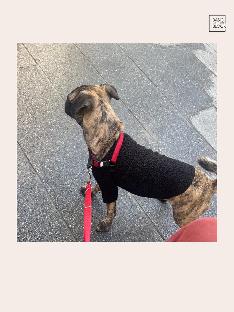 May include: A brindle dog wearing a black textured fleece sweater and a red harness with a matching red leash. The dog is viewed from the side, facing away from the camera. The text BASIC PATTERN BLOCK is visible in the top right corner.