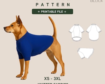 Dog Raglan Sweater Pdf Sewing Pattern | Sizes XS-3XL | Knitted fabric