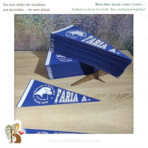 Custom Pennant Flag | Personalized Elementary High School Graduation Gift Student University College, Name Banner Wall Sign