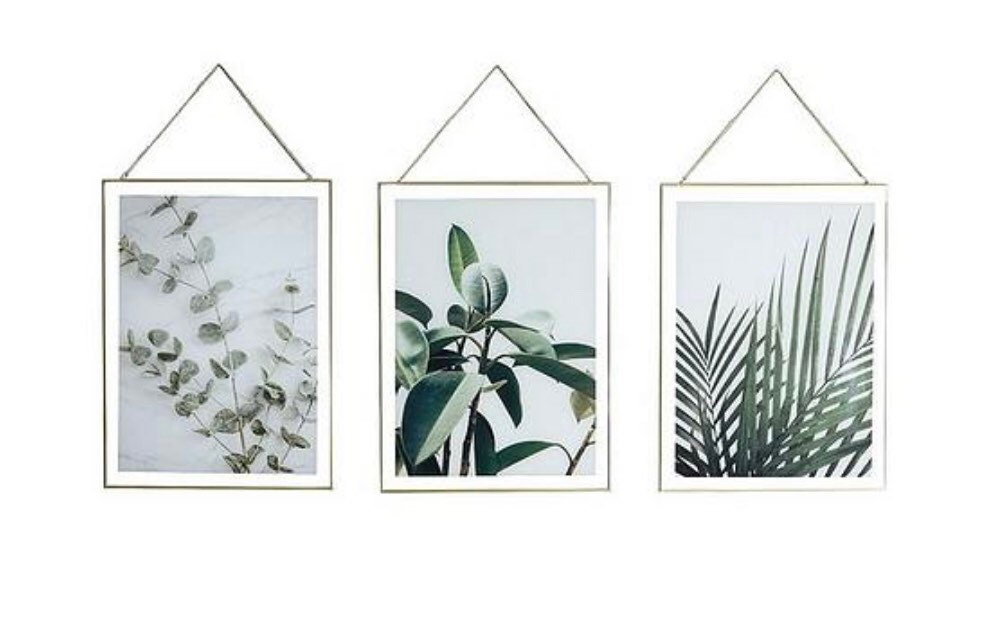 Botanical prints frame. Frames. Botanical . Plants and trees. Etsy